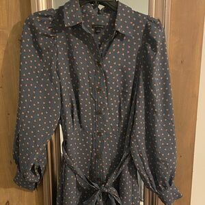 Ann Taylor Collared Dress